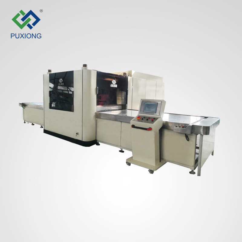 PXAI-P10P